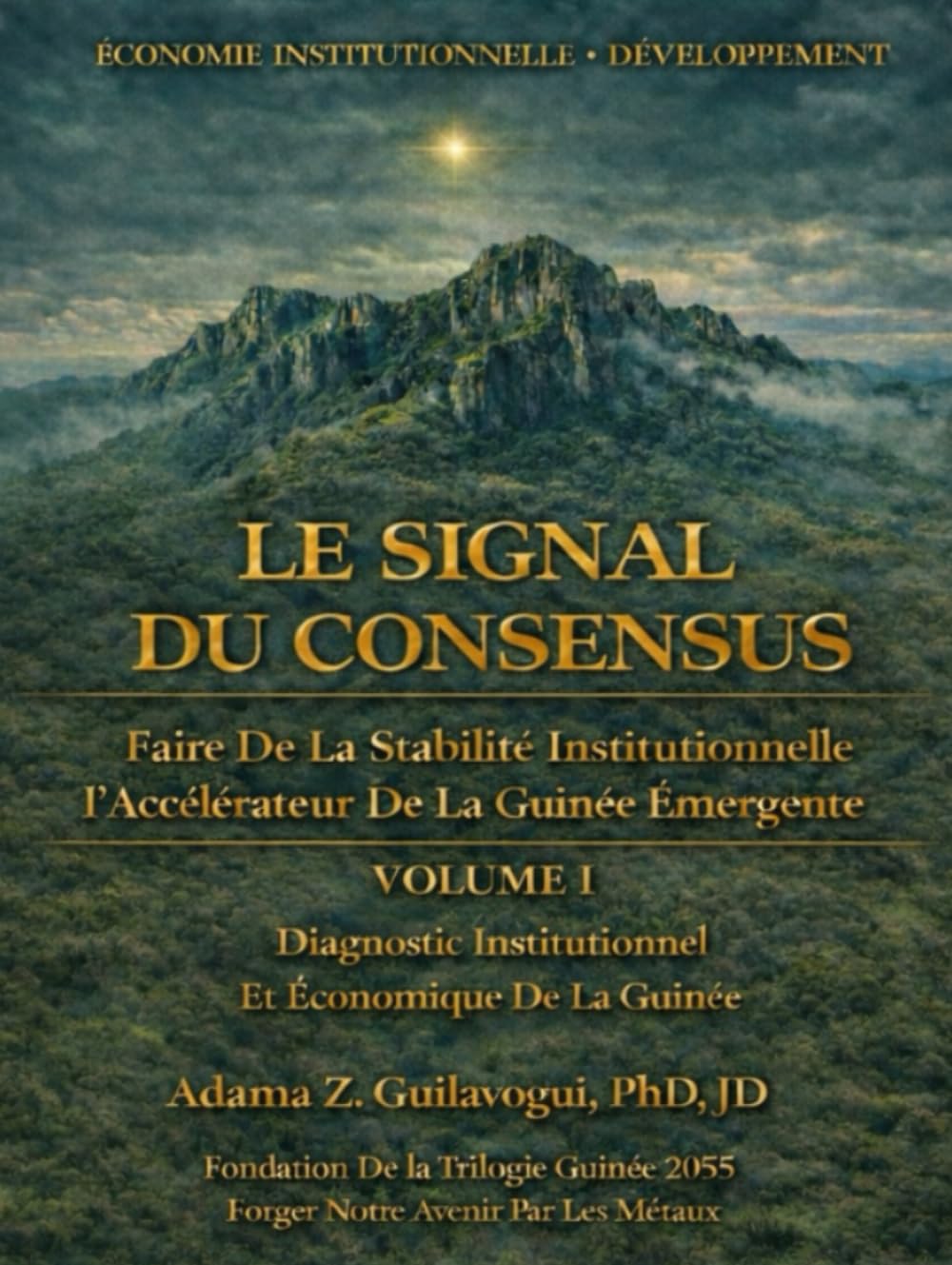 Le Signal du Consensus: Faire de la Stabilité Institutionnelle l’accélérateur de la Guinée Emergente