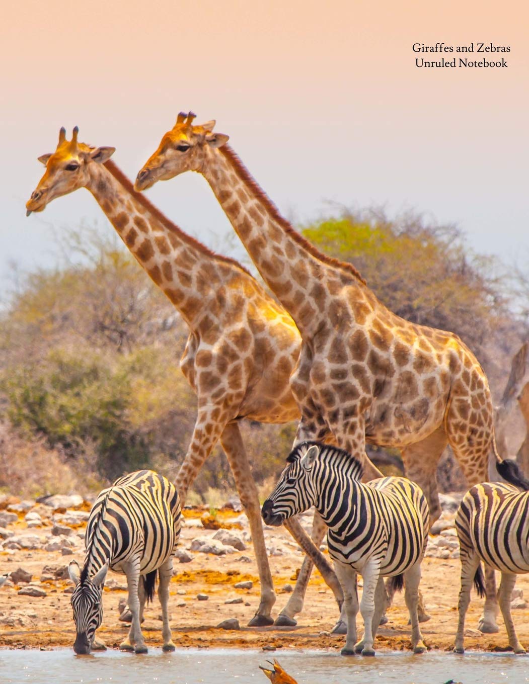 Giraffes and Zebras Unruled Notebook: Unruled, blank notebook. No lines. No page numbers. Glossy cover with image on front and back. Full size at 8.5 x 11 inches. Great for artwork or journals.