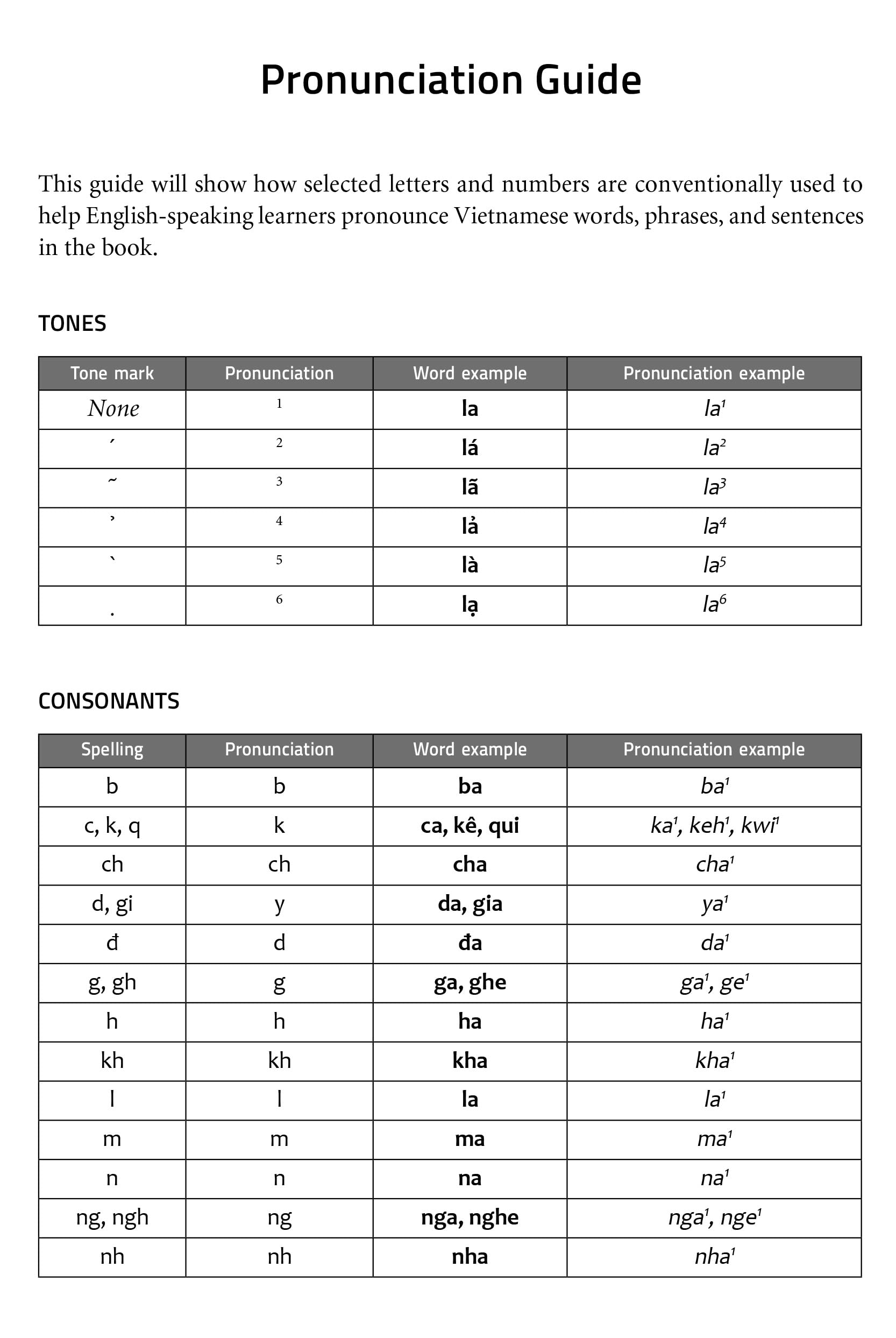 Essential Vietnamese Grammar: Speak and Write Vietnamese Like a Native! (Essential Grammar)