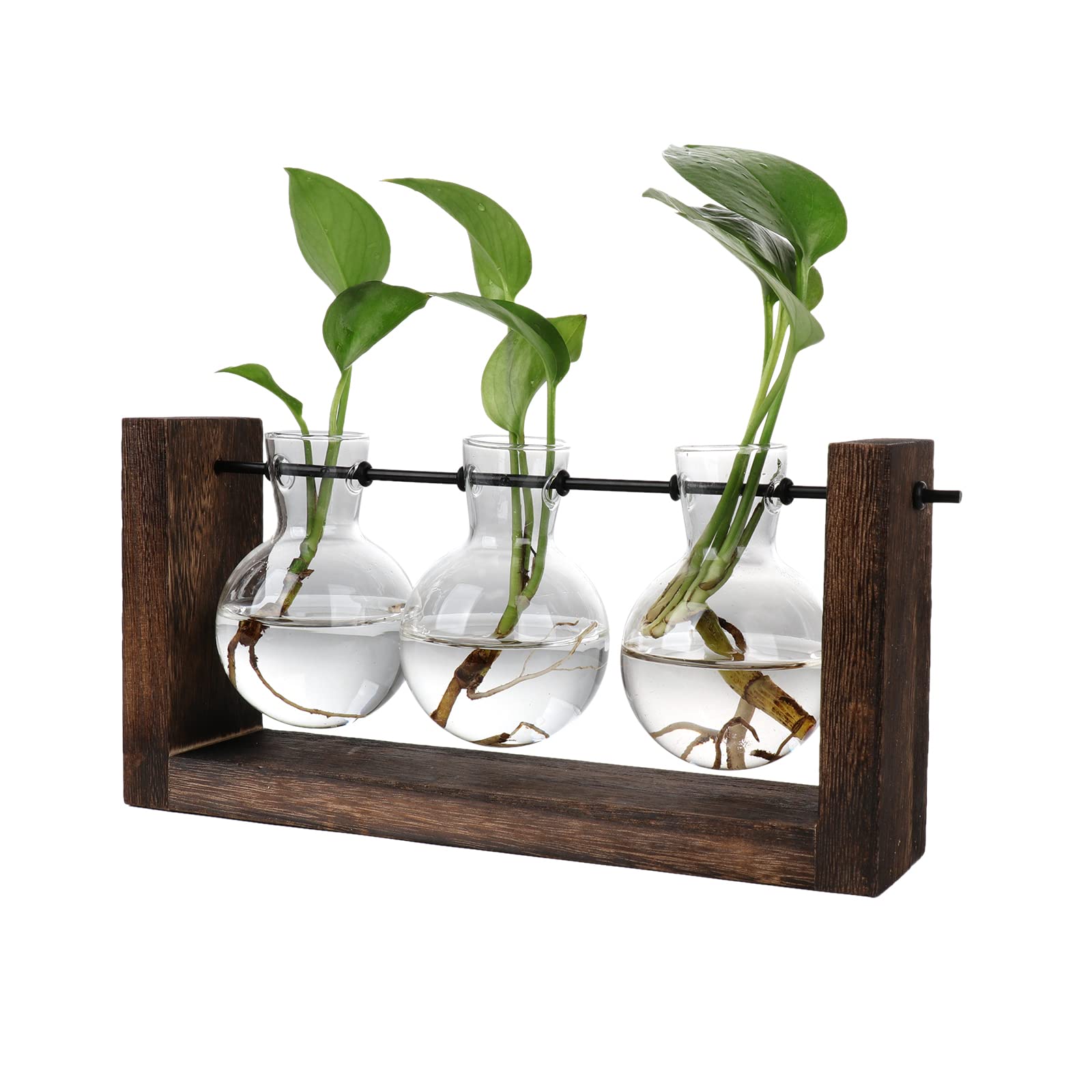 TIAVNTD Desktop Glass Planter Hydroponics Vase,Plant Terrarium with Wooden Stand Glass Test Tube Planter for Hydroponics Home Garden Office Decoration