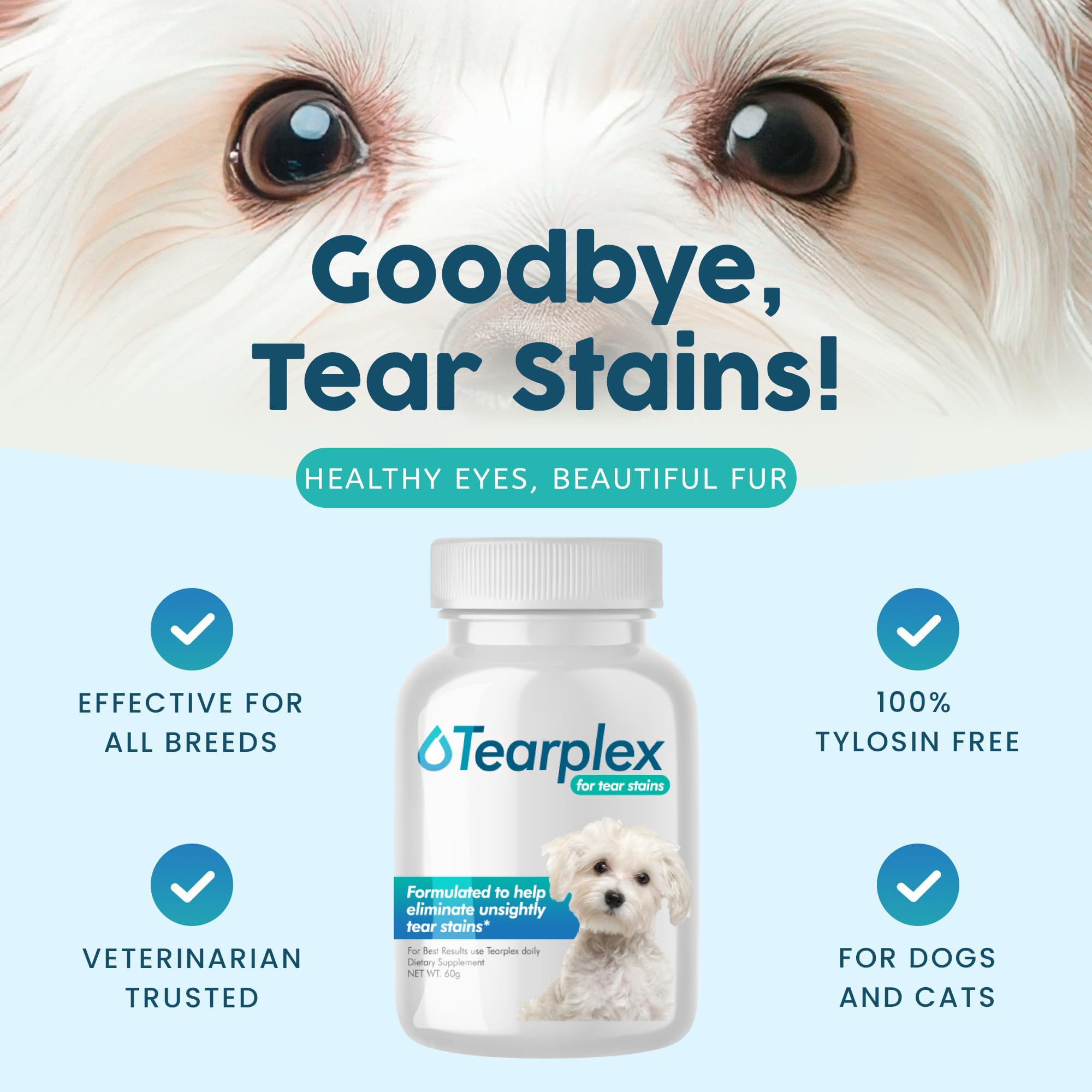 Angels Eyes Dog Tear Stains Contact Lens Solution Best Dog Tear