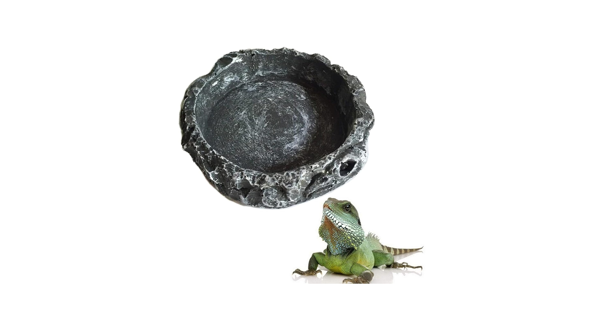 Amazon | 爬虫類 水入れ 8*8*2cm 爬虫類 餌入れ 樹脂爬虫類水皿