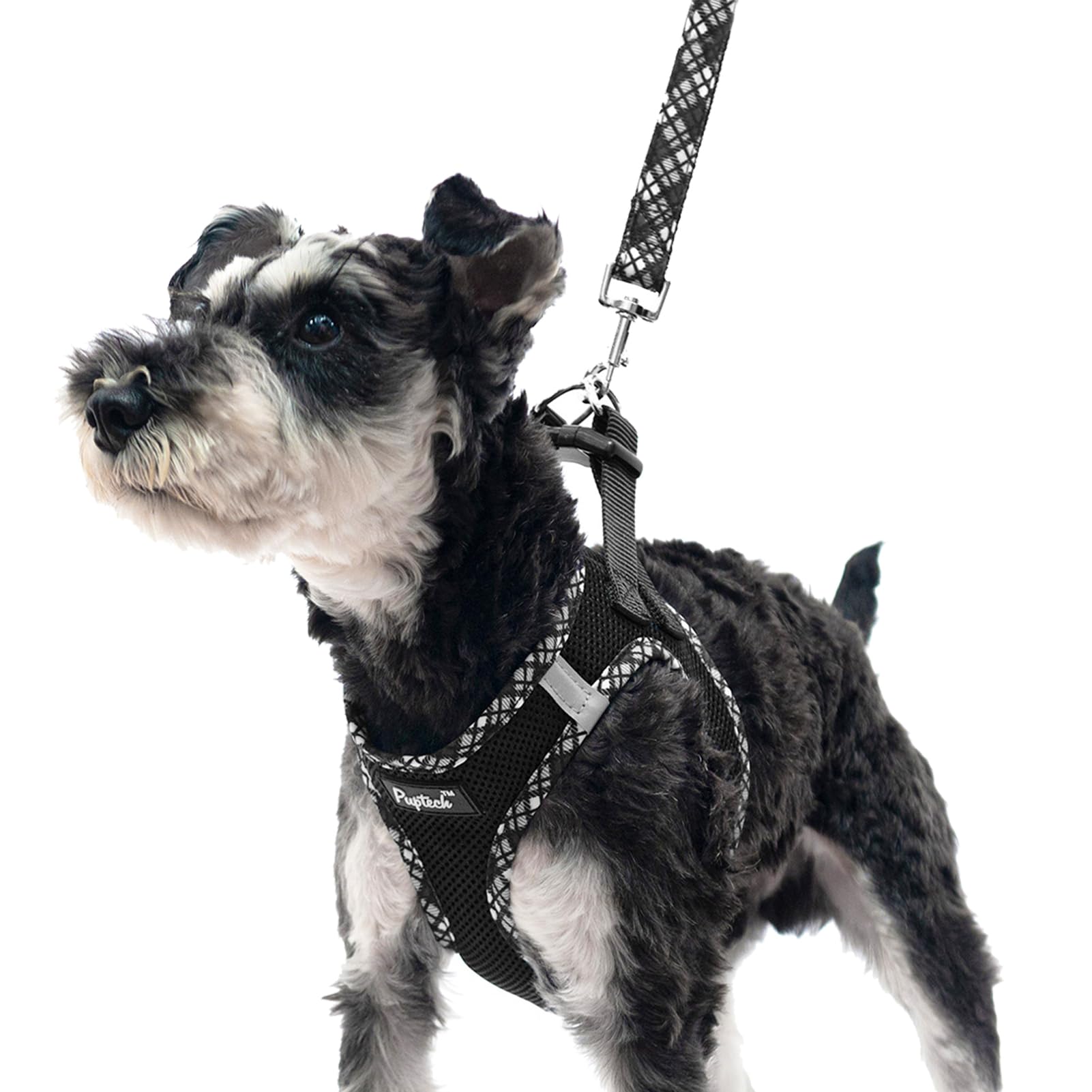 PUPTECK Step-in Dog Harness Small Dog No Pull Vest and Lead Set for Puppy Cats Outdoor Walking Black S