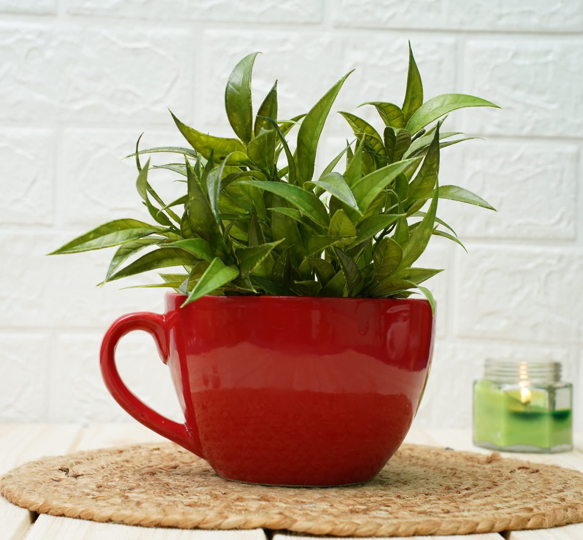 GOLD DUST Ceramic Pots for Plants Cup Shape, Garden Pots for Plants, Flower Pot, Ceramic Pots for Plants, Ceramic Planters, Pots for Plants (Red Plain, Pack of 1) (B0BVKGPBK1) Amazon Price History, Amazon Price Tracker