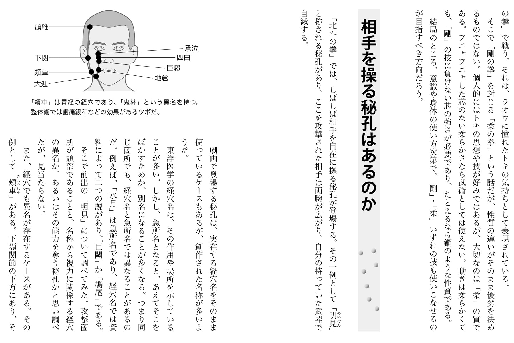 北斗神拳の謎に迫る 秘孔の真実 空手 と 経絡理論 で考察 中山隆嗣 本 通販 Amazon