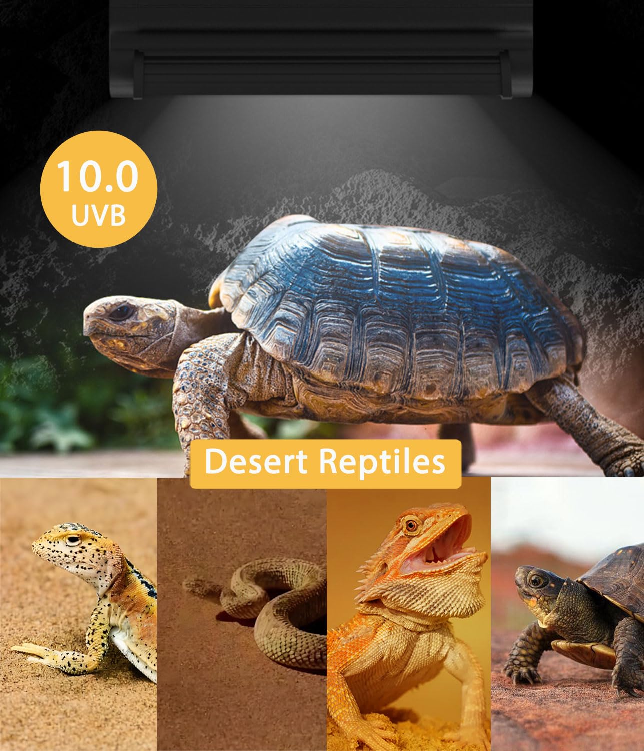 Kit combinado de lámparas T5 UVB para reptiles – 12 pulgadas 8 W, campana de terrario 10.0 UVA UVB foco con reflector de alta eficiencia para reptiles y anfibios del desierto (dragones
