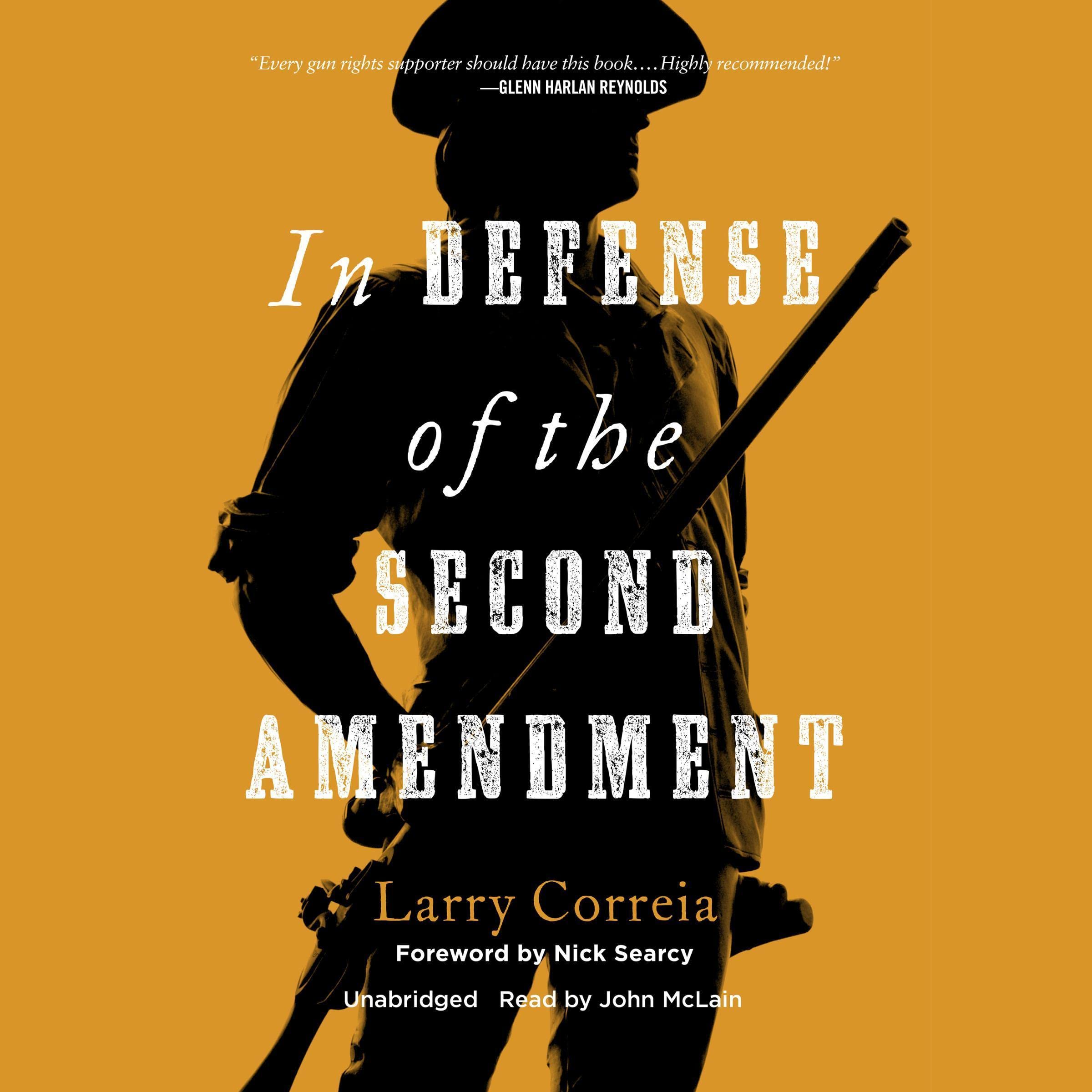 Cover art for In Defense of the Second Amendment