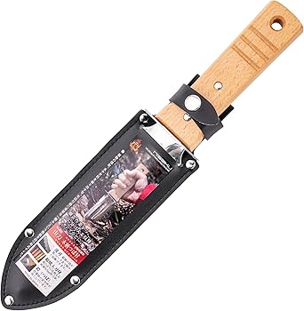 71-zi1Xqr9L._AC_UF350, 71-zi1Xqr9L._AC_UF350,