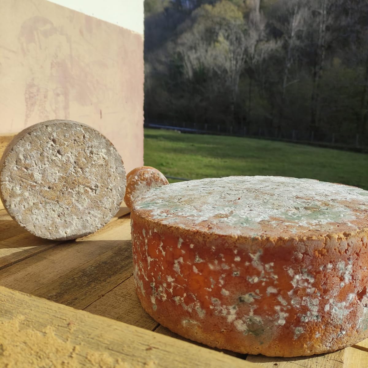 ARAMBURU Cuña de queso Asturiano Gamoneu DOP Vega Ceñal, 240-250g, Origen Asturias, Envasado al vacÍo