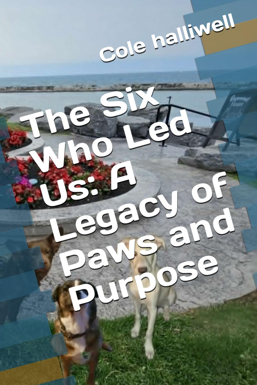 The Six Who Led Us: A Legacy of Paws and Purpose