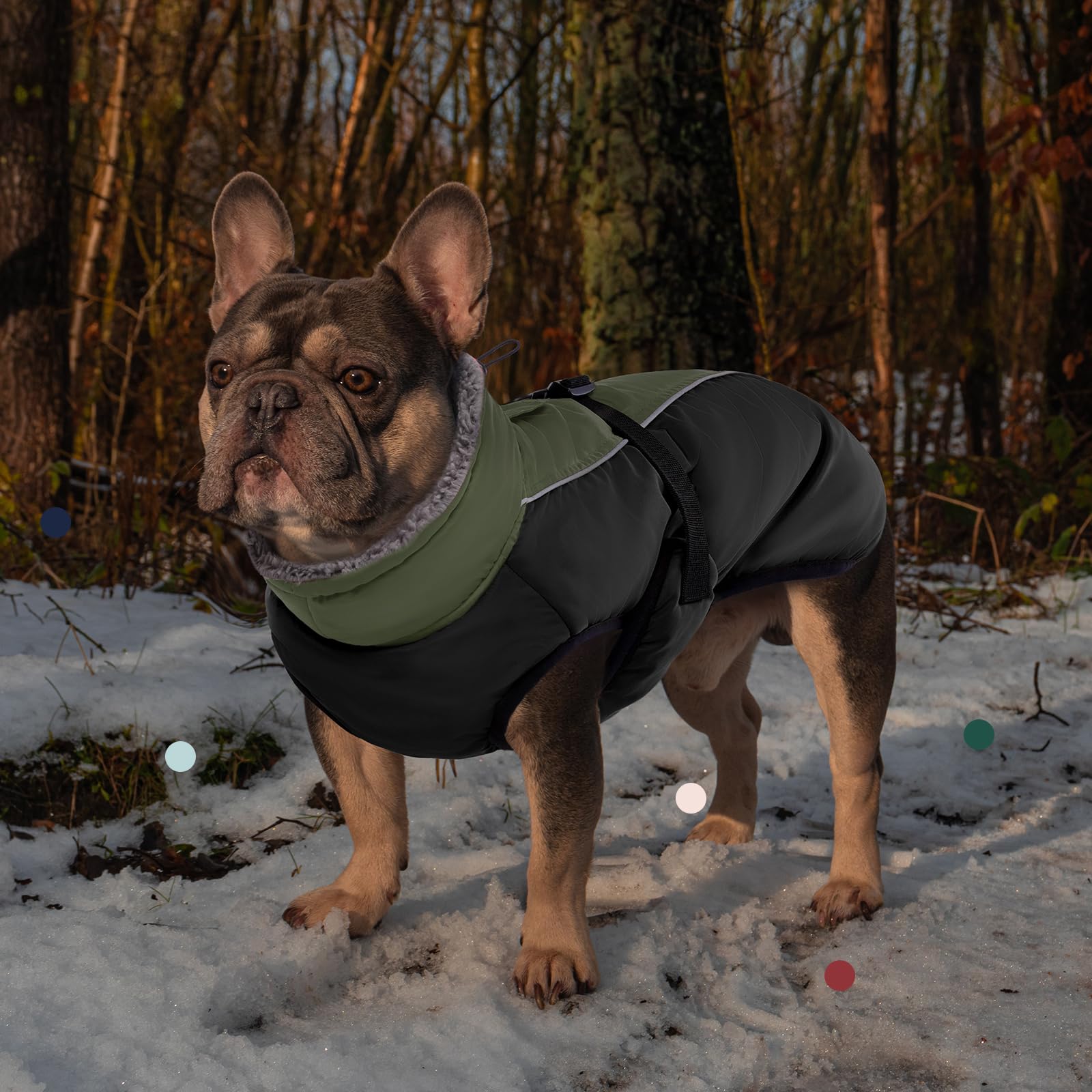 IECOii Abrigo extra cálido para perro, reflectante ajustable, abrigo de invierno para perro con hebilla, chaqueta de forro polar para perro para clima frío, abrigo de invierno suave para perros