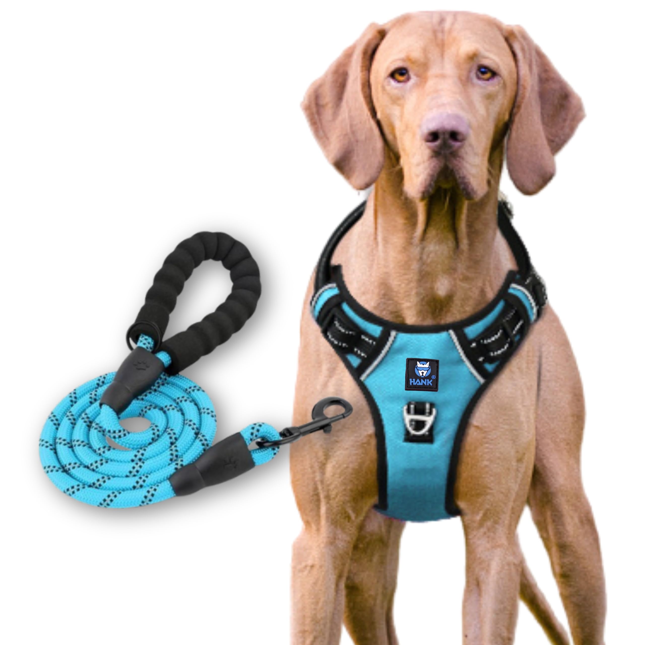 HANK - Dog Harness & Leash Combo - Strong - Night Reflective - Suitable for Small Medium Large Breed - Dog Chest Belt (Small - Chest Girth (Min 17 - Max 22 inches), Cyan Blue) (B0CY5NK9JK) Amazon Price History, Amazon Price Tracker