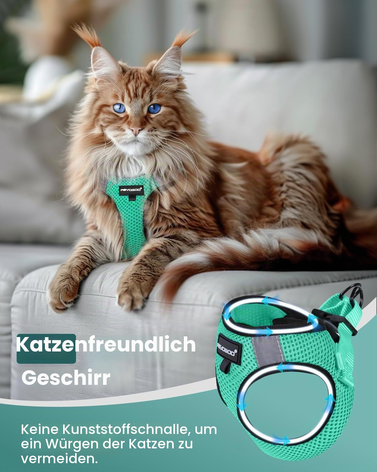 FAYOGOO Katzengeschirr mit Leine Ausbruchsicher einfach anzulegen Set Verstellbar Brustgeschirr für Katzen und Kitten Soft Harness mit Klettverschluss Katzenleine Schleppleine