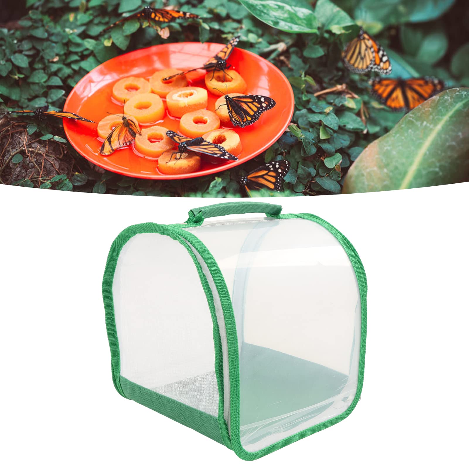 Hábitat de Mariposas Transparente Jaula Insectos Plegable con Asa Portátil para Observación Crianza Interior Exterior Fácil Transporte