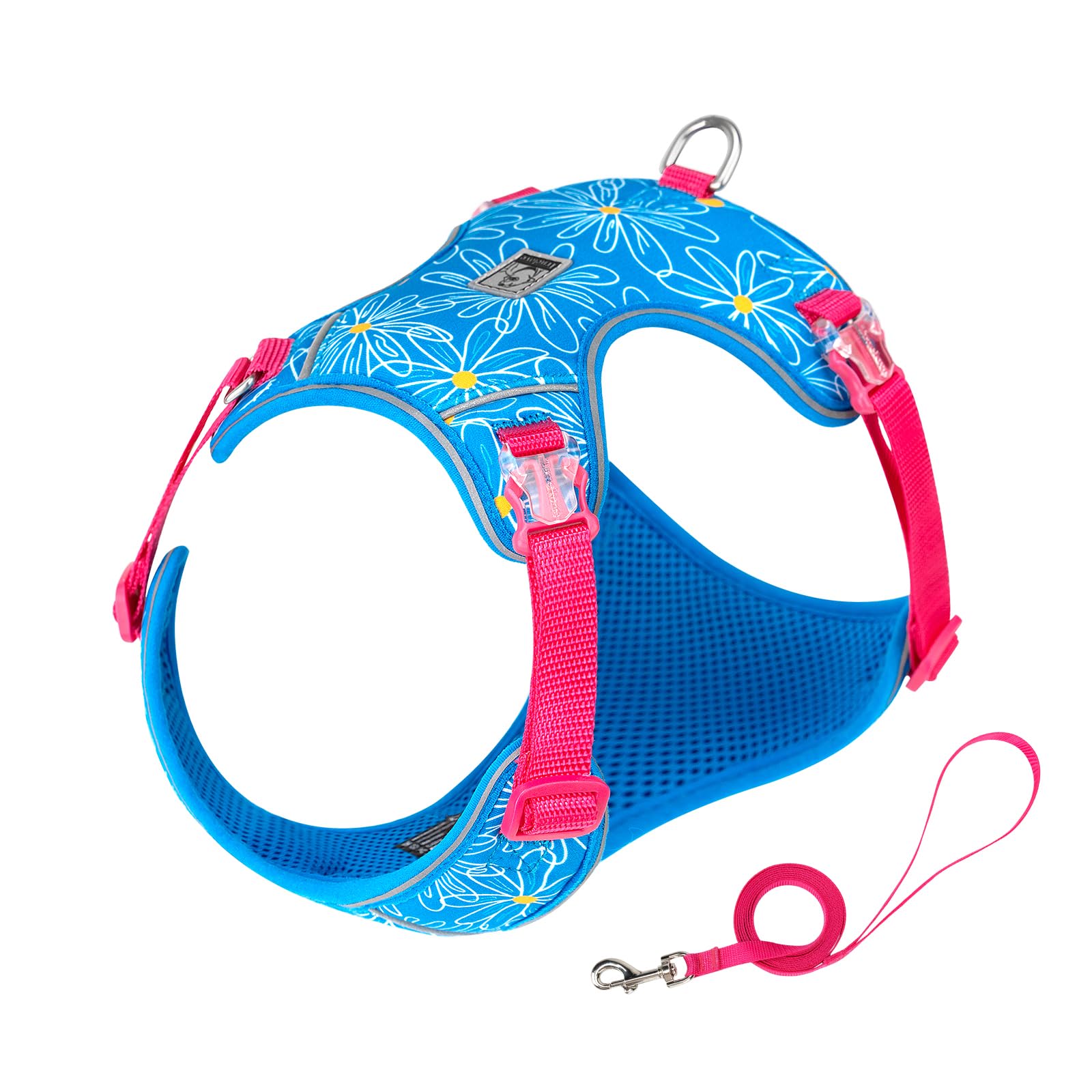 Truelove Dog Harness and Lead Set Adjustable Pet Vest, Diva Blue, XS