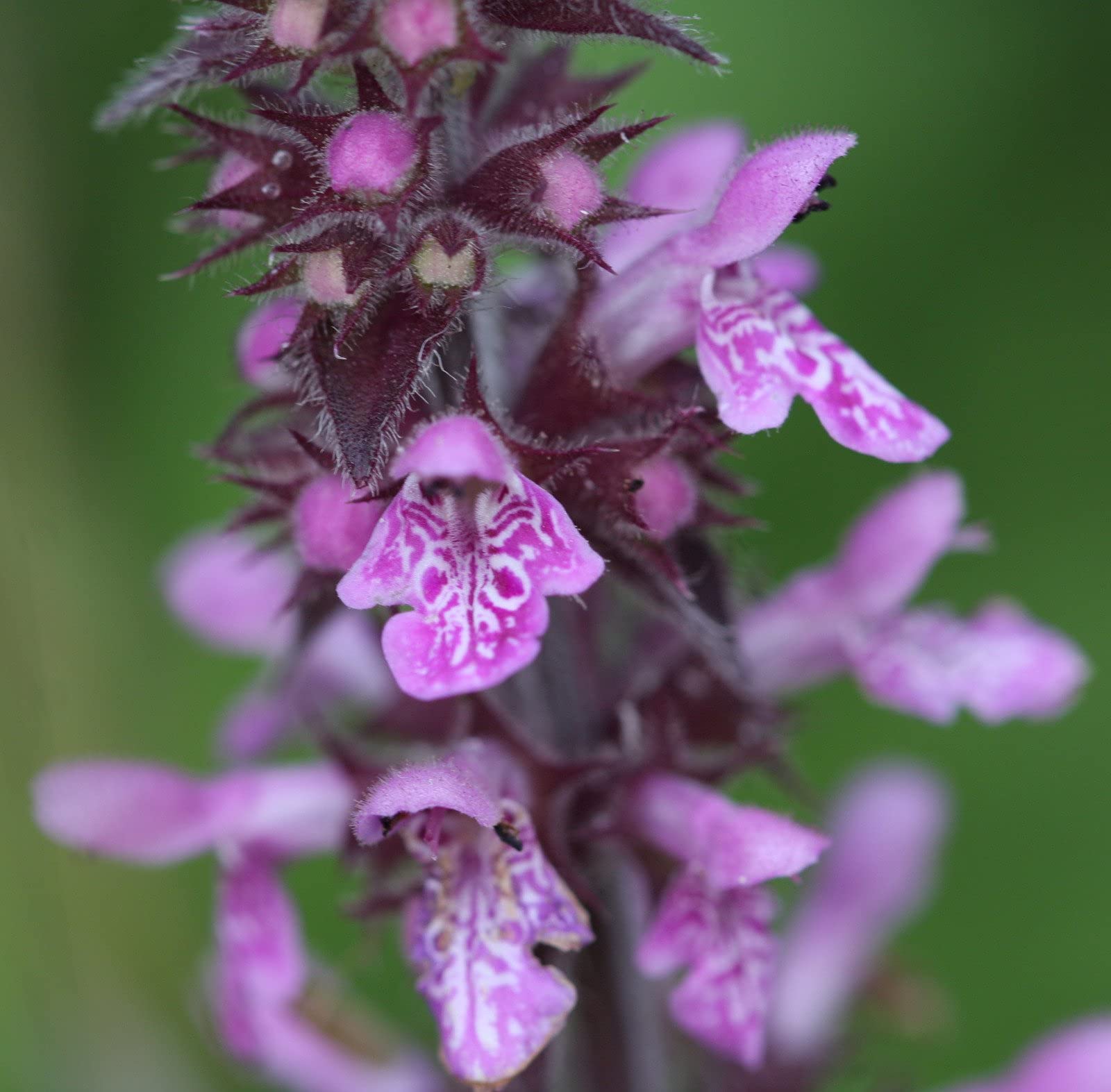 View 5
