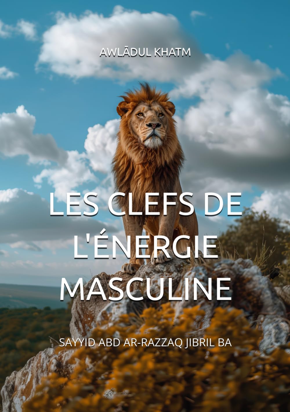 Les Clefs De L'Énergie Masculine: Remèdes naturels et spirituels qui transforment la vie intime des hommes