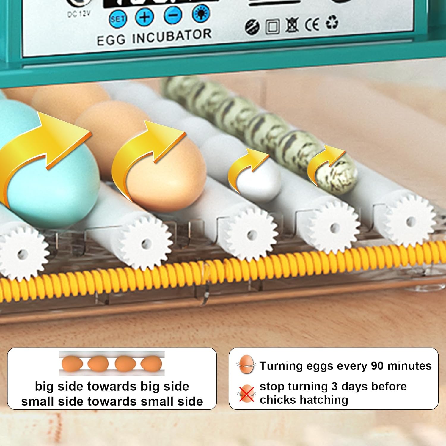 Incubators for Hatching 16 Eggs, Egg Incubator with Automatic Egg Turning and Humidity Fill, Temperature Control, Incubator with Adjustable Rollers for Chickens, Ducks, Geese, and Quails