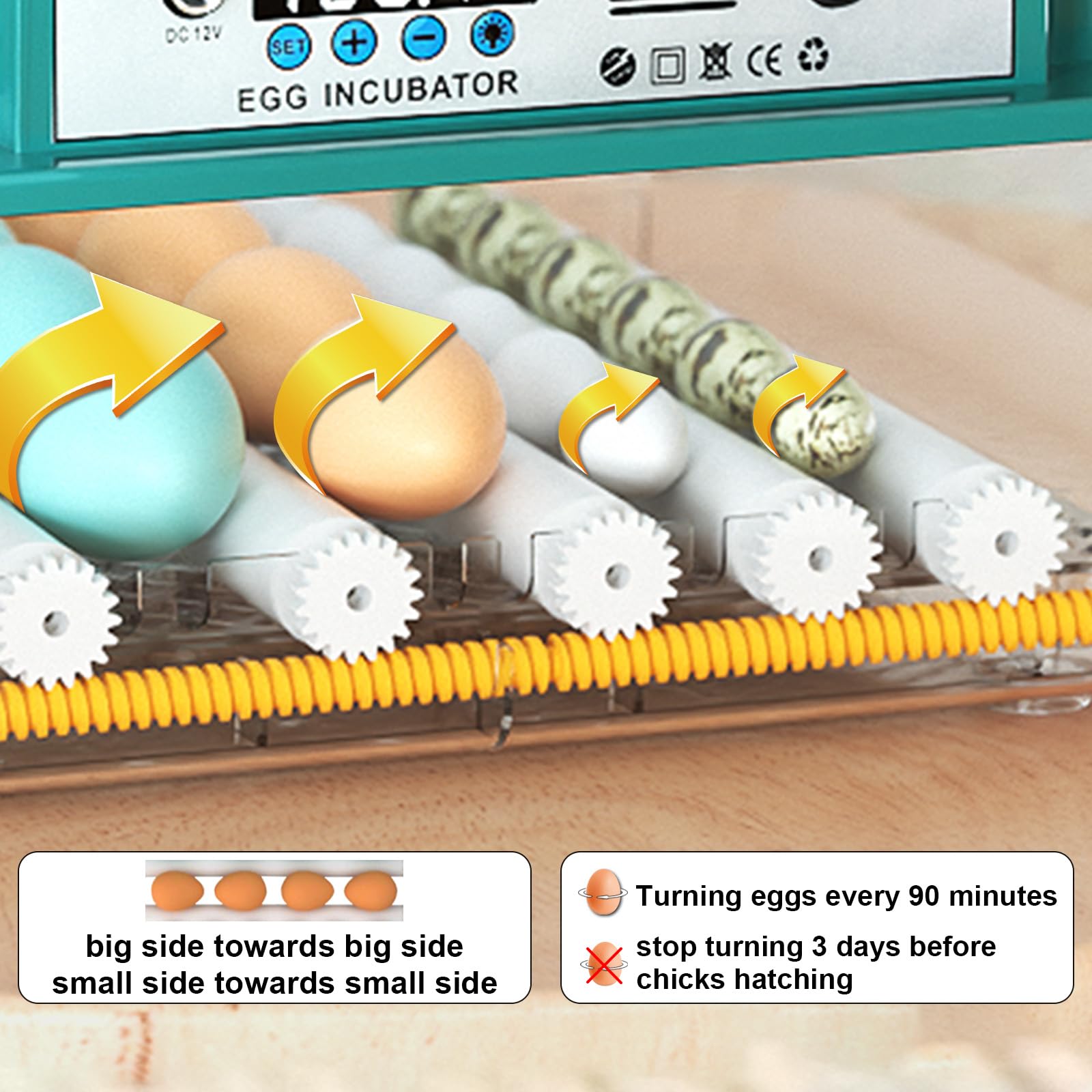 Incubadoras para incubar 16 huevos, incubadora de huevos con giro automático de huevos y llenado de humedad, control de temperatura, incubadora con rodillos ajustables para pollos, patos