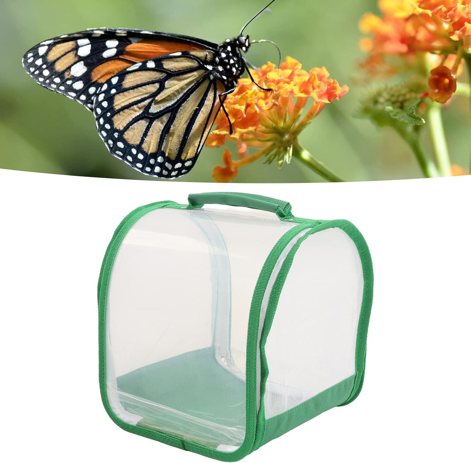 Butterfly Habitat Cage, Insect Habitat Cage, 360 Degree