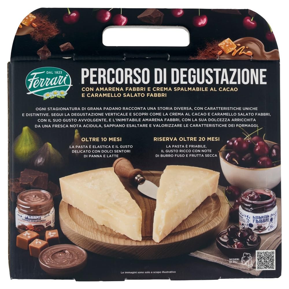 Italian Gourmet Grana Padano DOP formaggio, Käse oltre 10/20 mesi 1 x 400g