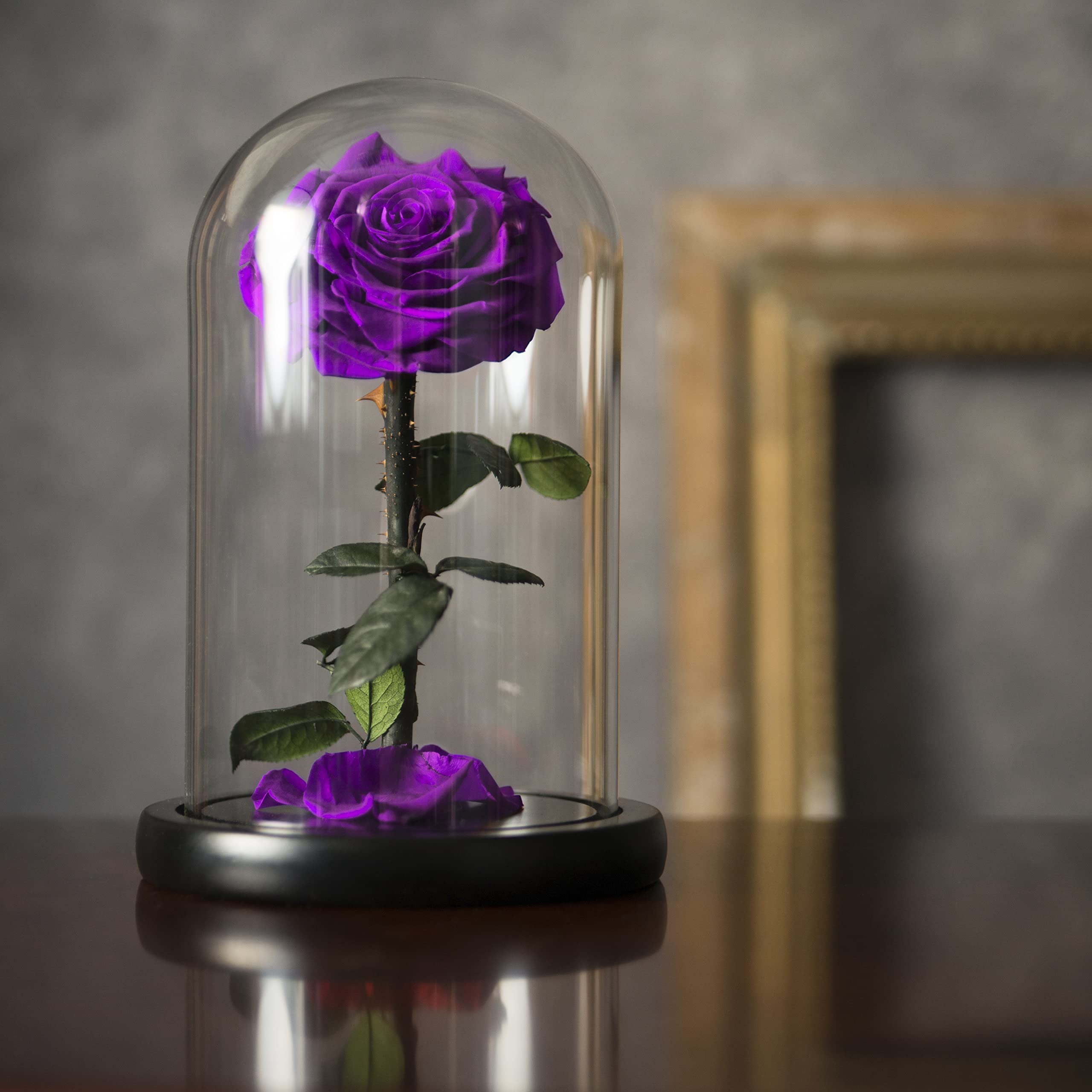 Eternal Enchanted Forever Preserved Rose - Infinity Rose in Glass Dome - Made from Real Fresh Beauty Rose - Romantic Gifts for Female - Valentines Day - Gift for Mom (Purple, 9 inch)
