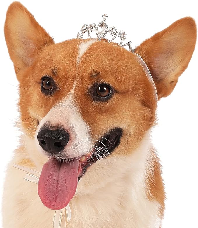 Lovelyshop Tiara de Cristal para Perro/Gato Pequeño Accesorio de Cabello miniatura 2