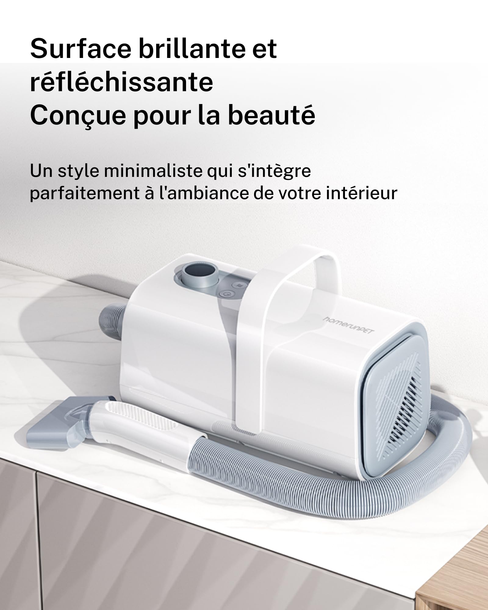 HomeRunPet Pulseur pour Chien 43dB Silencieux, 268mph, Aspirateur Poil de Chien 99 Vitesse et 3 Température réglable, Sèche Cheveux Professionnel pour Chien avec 3 Buses