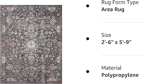 Miniatura 3 de Loloi II Cassandra Collection CSN-03 - Alfombra decorativa de 2 pies 6 pulgadas x 4 pies y 0 pulgadas