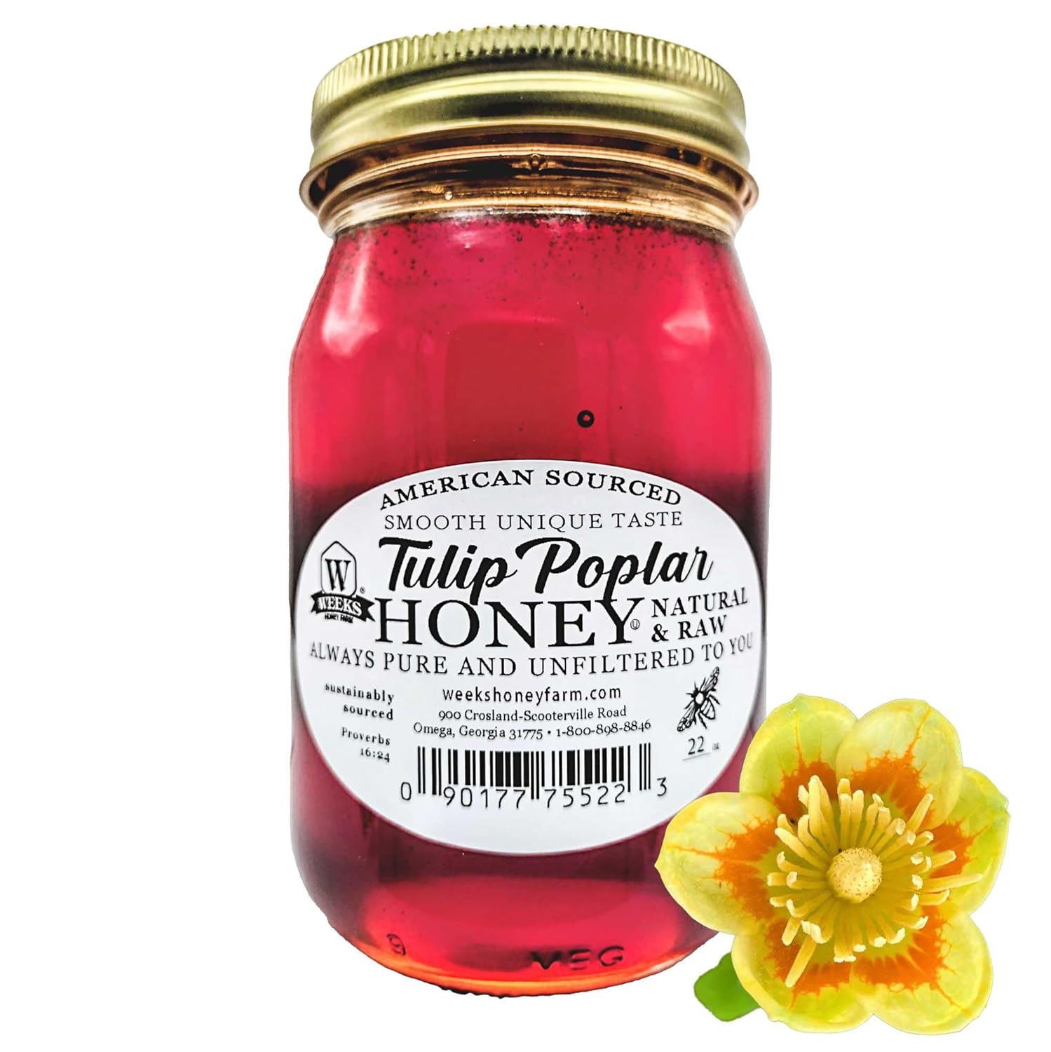 Weeks Honey Farm 100% Pure Raw Unfiltered Tulip Poplar Honey, 22 oz Glass Jar - Dark Robust Buttery Flavor, All Natural American Honey from Georgia Mountains, No Additives