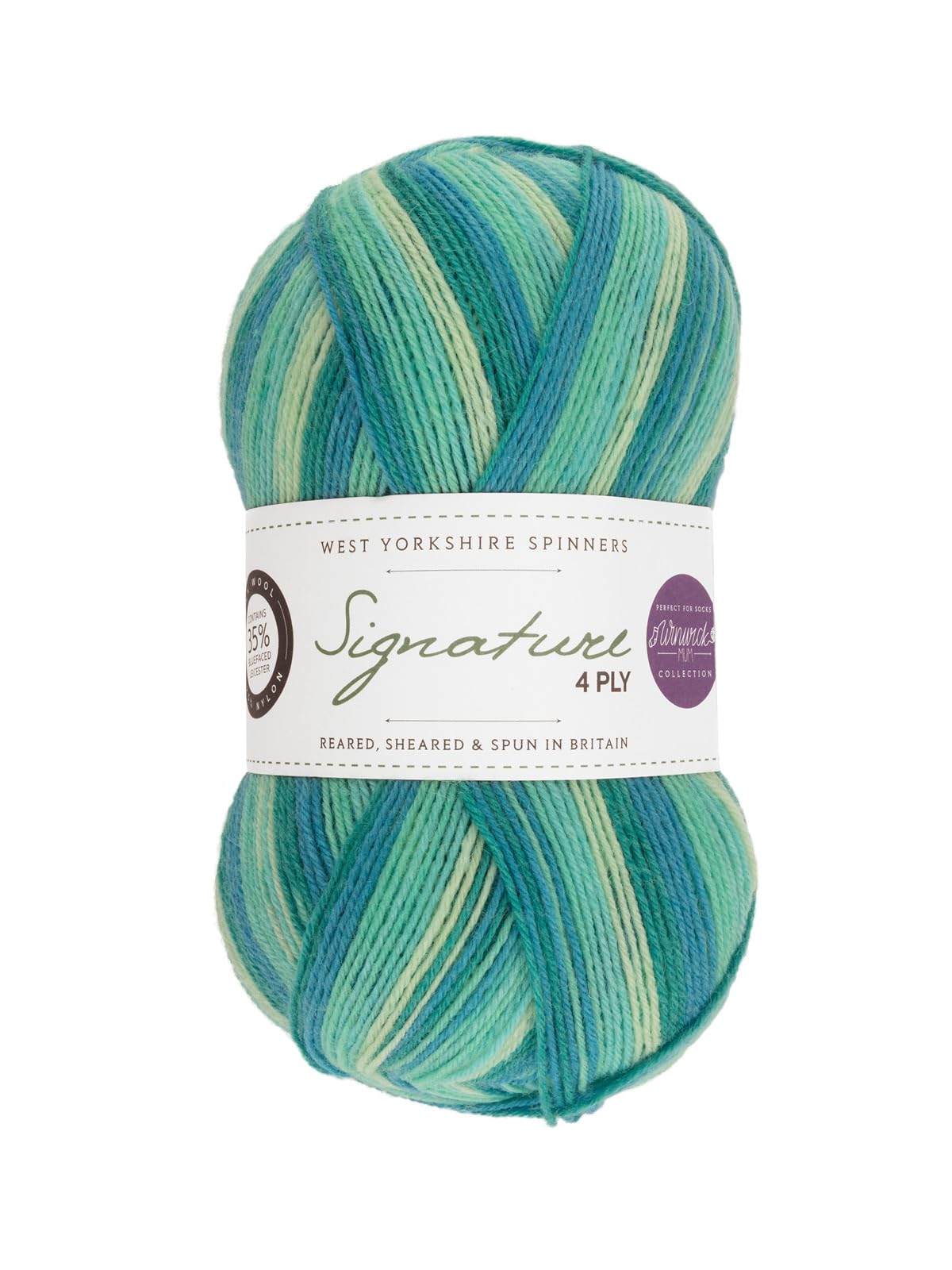 West Yorkshire Spinners Signature 4ply Winwick Mum Collection Seascape 873 100g Sock Yarn — image 1