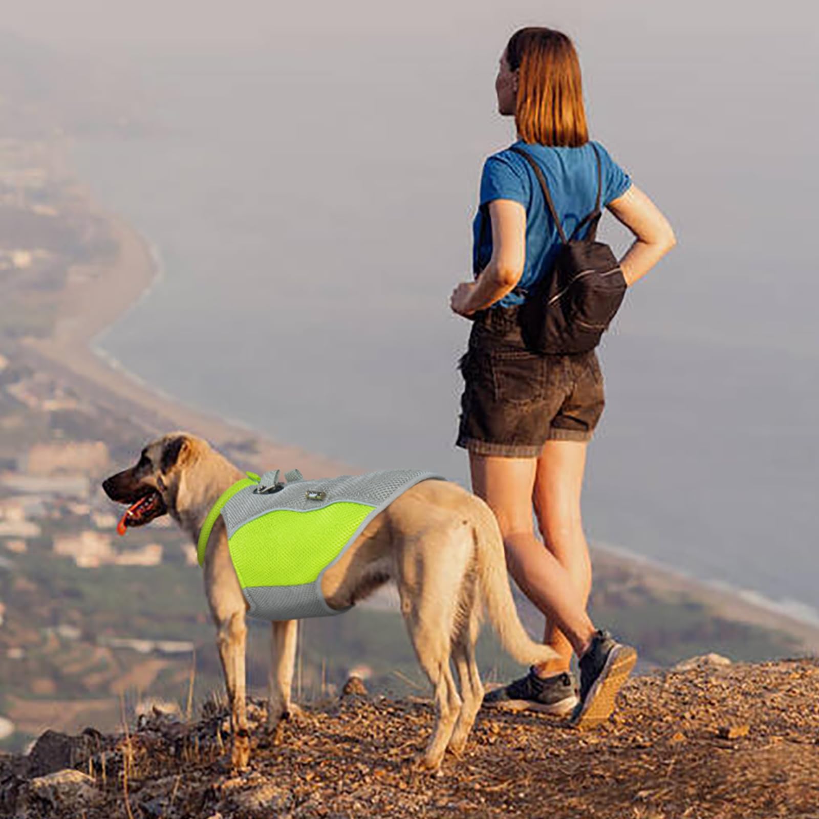 Gilet rafraîchissant pour Chien, Manteau rafraîchissant pour Chien avec Laisse, Manteau rafraîchissant pour Chiens de Petite, Moyenne et Grande Taille, Veste rafraîchissante légère pour chie