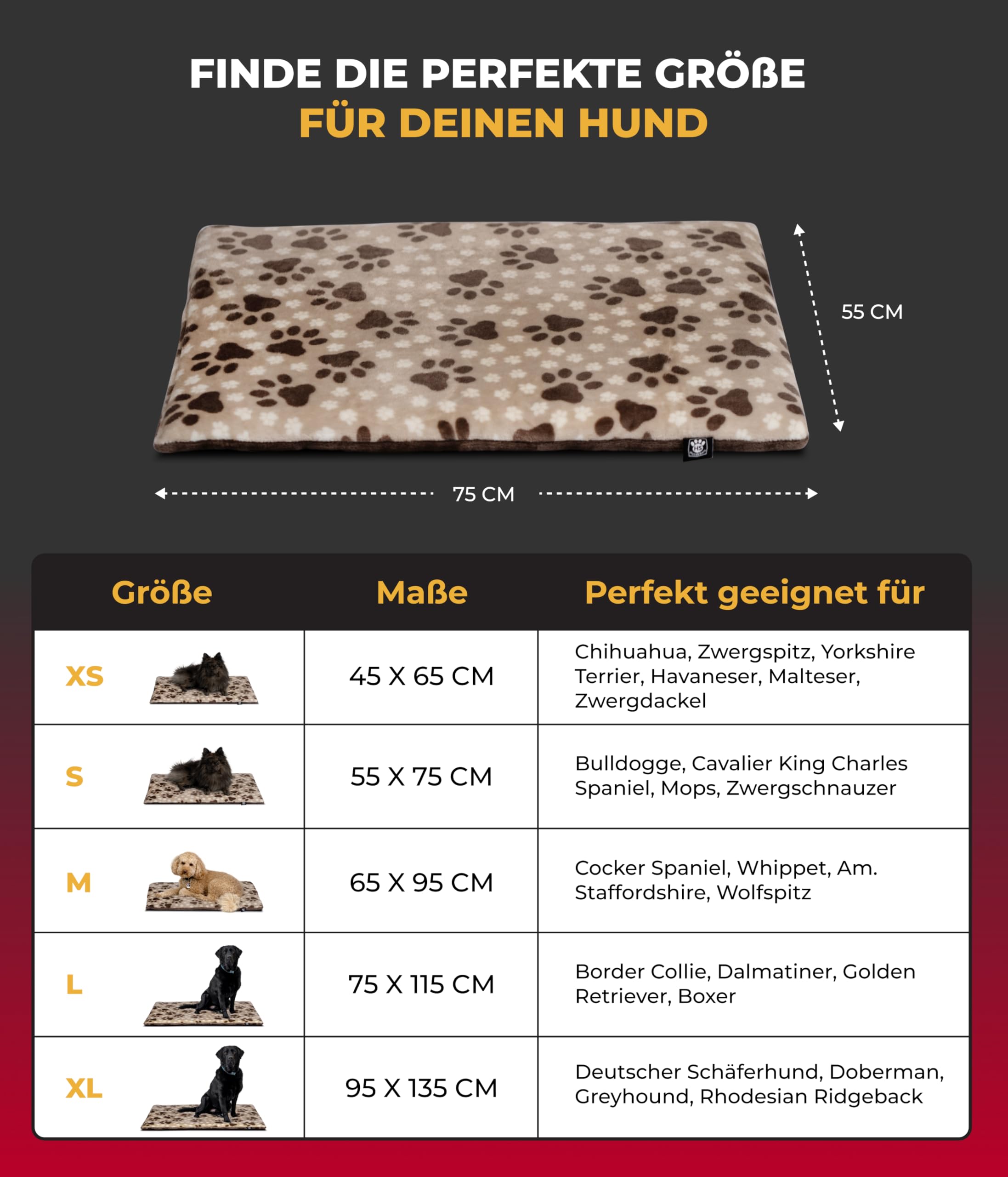 Hundedecke S (55x75 cm) – rutschfest & gemütlich Dank 3 cm Füllung – Perfekt fürs Sofa, Auto & Hundebox – Pfote Beige, Made in DE