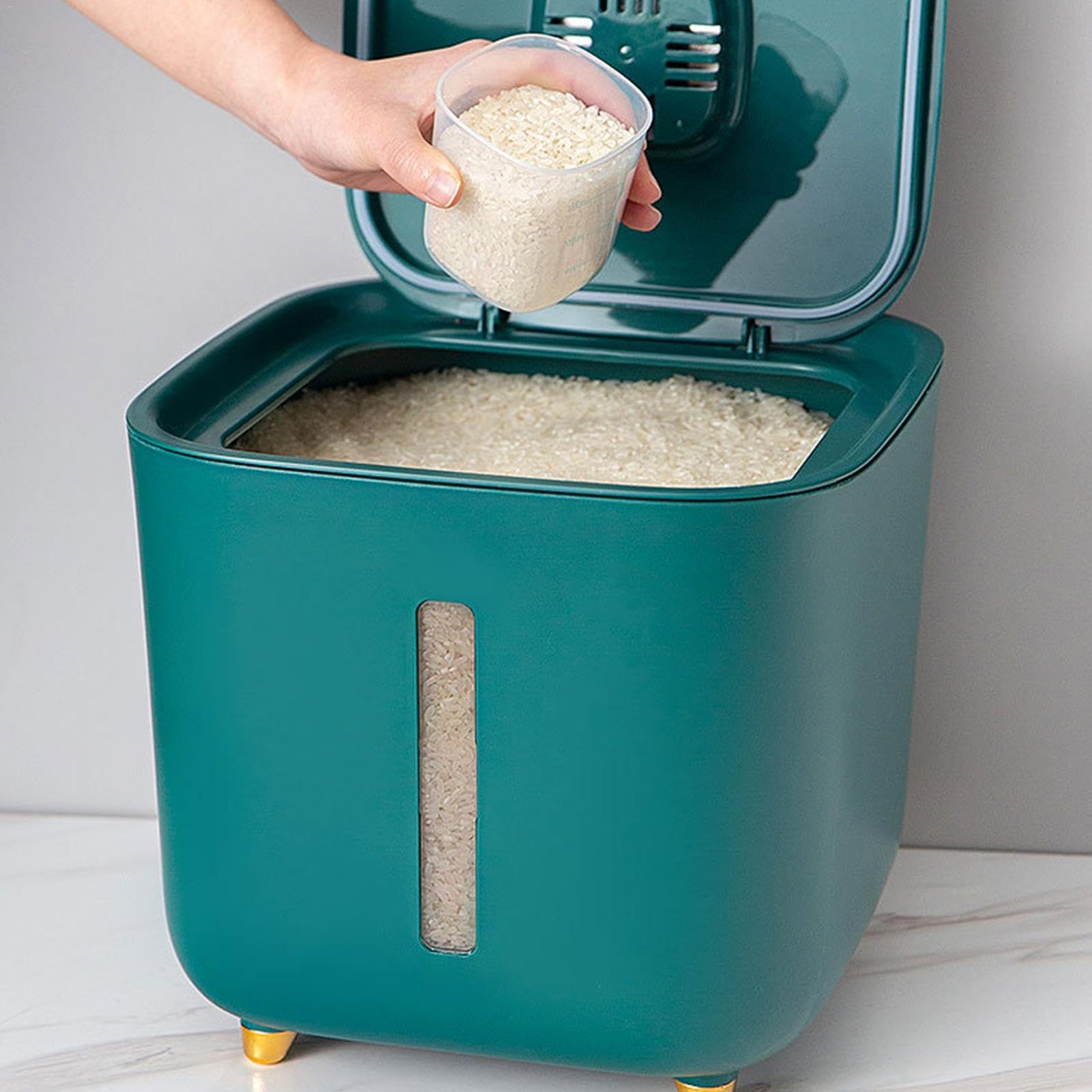 Bacs à riz | Boîtes de rangement hermétiques de 10 kg avec couvercles, seau à riz, grande boîte de rangement pour céréales et aliments secs