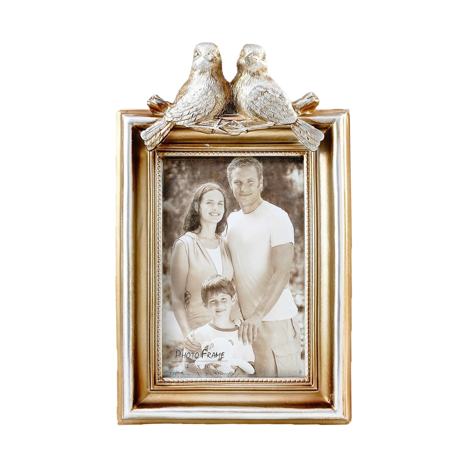 Zxfdsfdbnm Classical Distressed Resin Picture Frame with Handcraft Birds Design Antique Ornate Carving Photo Frame for Desktop Display Double Birds Desktop