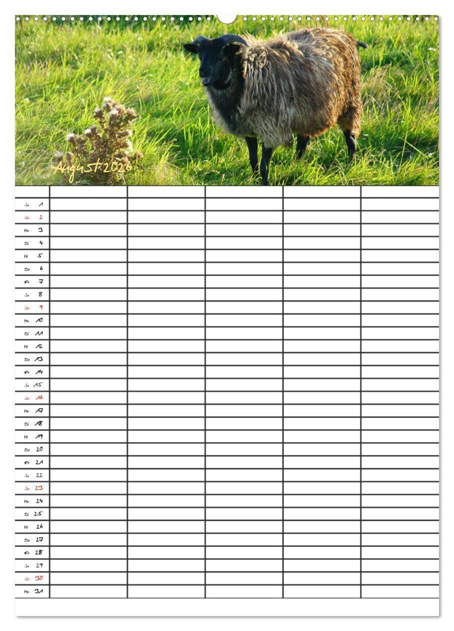 Bauernhoftiere Familienplaner (hochwertiger Premium Wandkalender 2026 DIN A2 hoch), Kunstdruck in Hochglanz: Nutz- und Haustiere (CALVENDO Tiere)