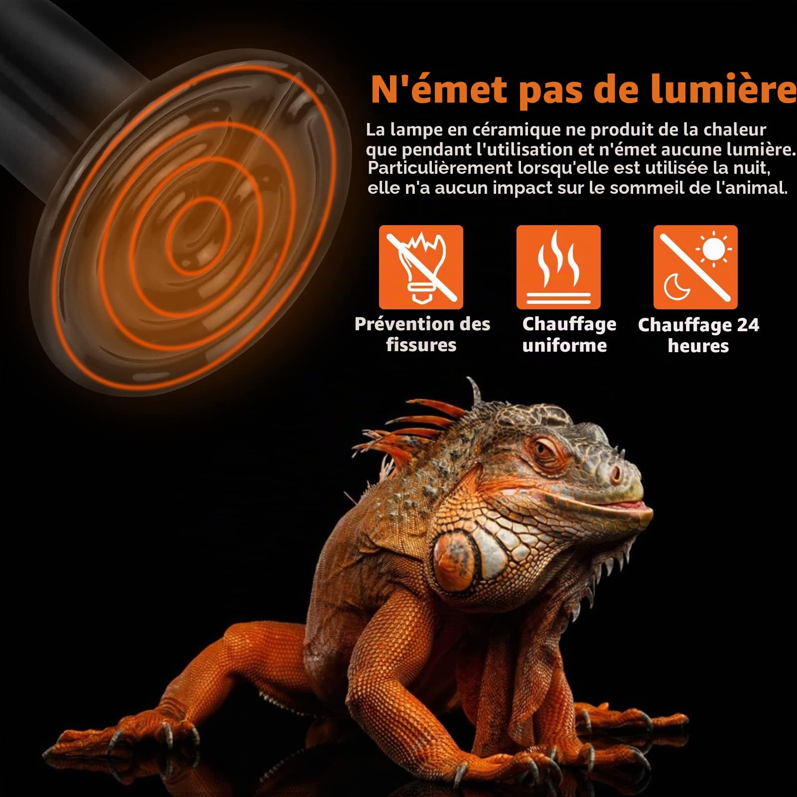 LUCKY HERP Lot de 2 Lampes Chauffantes 50 W en Céramique pour Reptiles, Tortues, Terrarium, Agames Barbus, Poulet, Chien