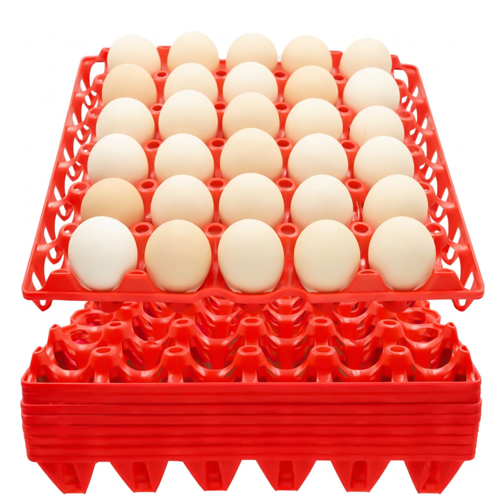 Boîtes à œufs empilables x8 en plastique | Rangement 240 pièces éleveur