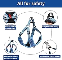 Vista 2 de AMTOR Arnés para perro, juego de arnés y correa para perro, ajustable y reflectante suave para perros pequeños, medianos y grandes