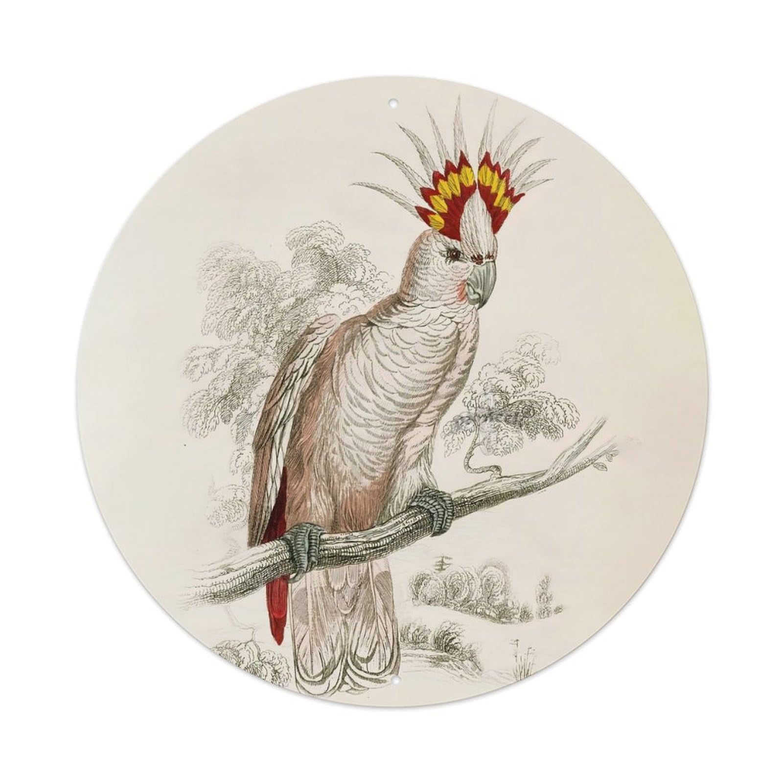 Animal Birds Parrot White Bird Vintage Metal Tin Sign Plaque Wall Decor for Cafe, Club Bar, Office, Garden Metal Poster 8x8Inch
