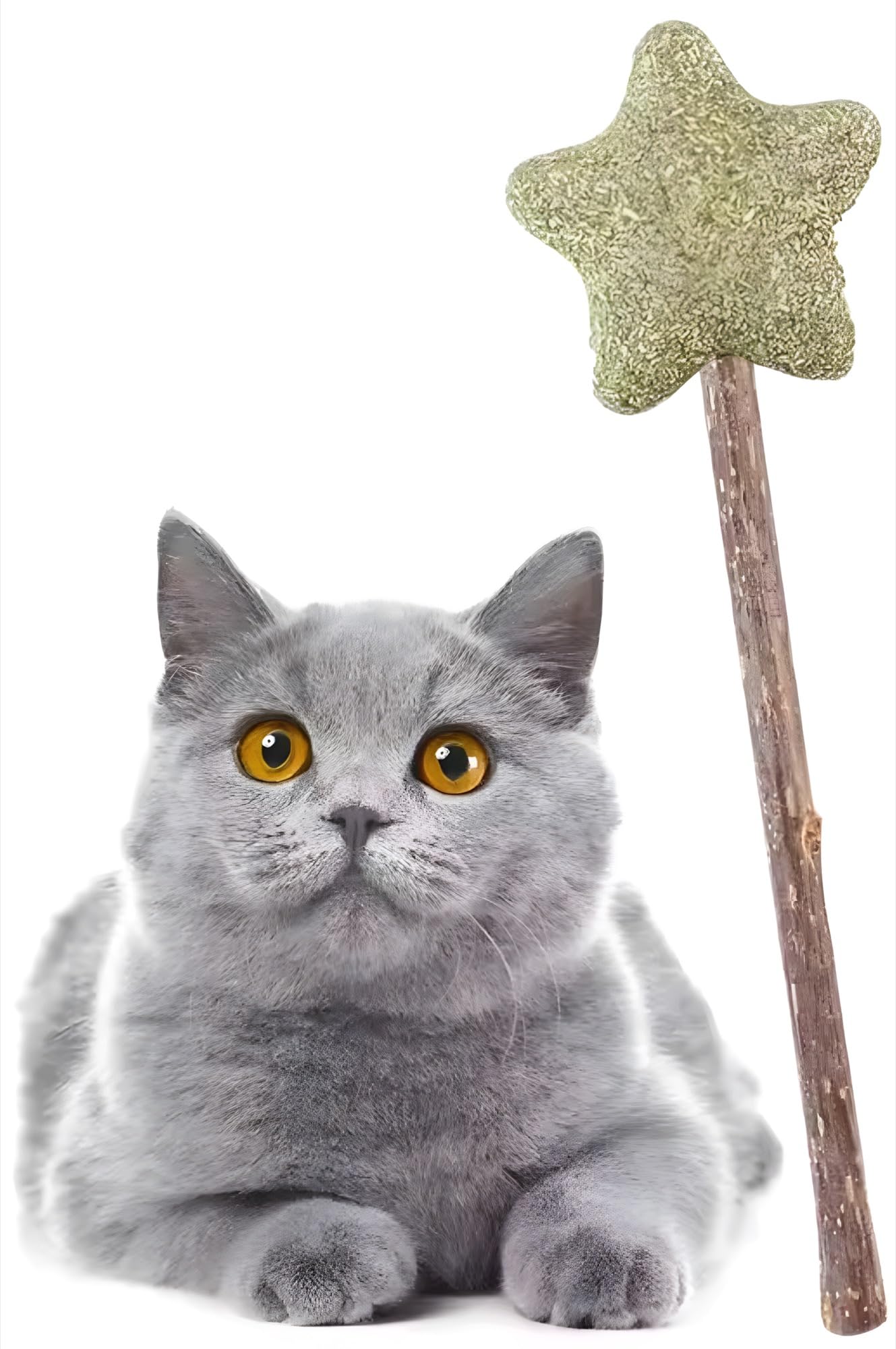 PawLites Catnip Ball Molar Cleaning Catnip Ball Lollipop cat Supplies Snacks Silvervine cat nip for Kittens and Cats Cat toy (B0D8428DW9) Amazon Price History, Amazon Price Tracker