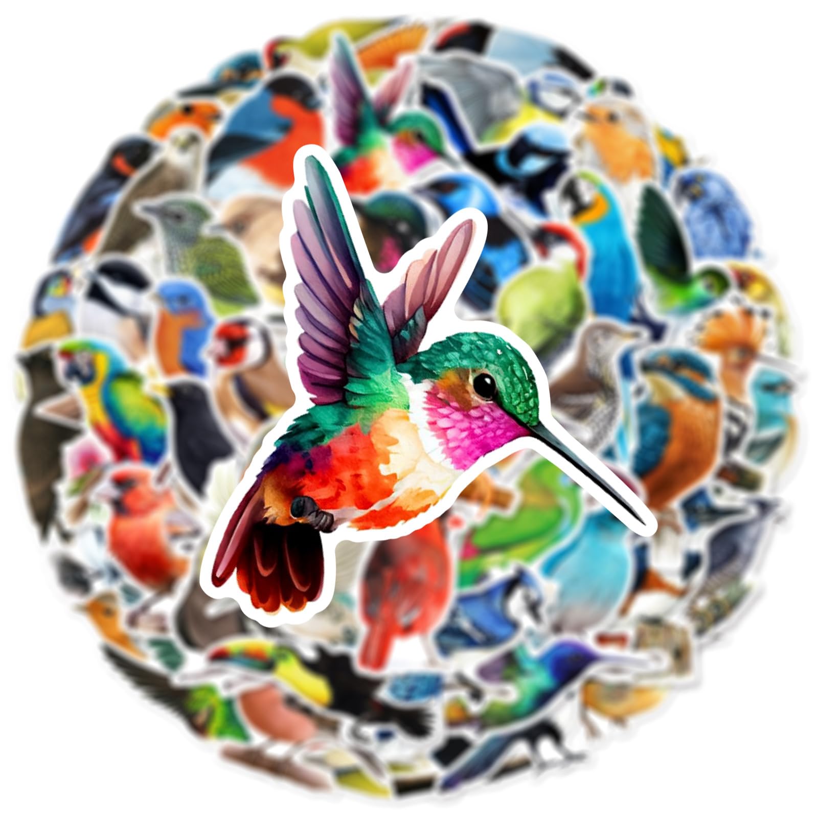 50PCS Watercolor Bird Stickers for Water Bottles Laptop Notebook Refrigerators Computer Phone Skateboard Luggage Journal Scrapbook Helmet,Cute Cartoon Birds Waterproof Decals for Adult Kids Teen - Image 3