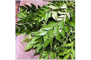 Fresh Curry Leaves 3 oz: Unlock Culinary Delights with Fragrant Herbs