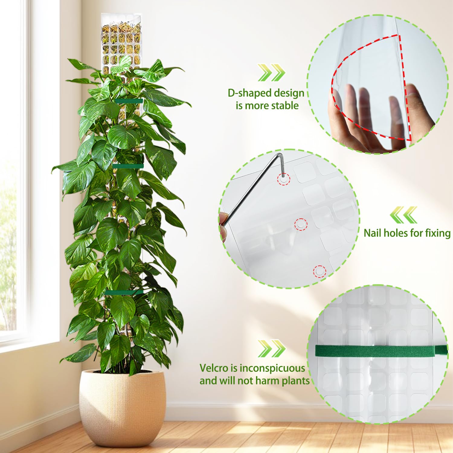 6 PiezasTutor Musgo, Tutores para Plantas Trepadoras, Moss Pole 60cm, Palo Musgo Plantas para Extensión de Soporte para Enredaderas e Monstera