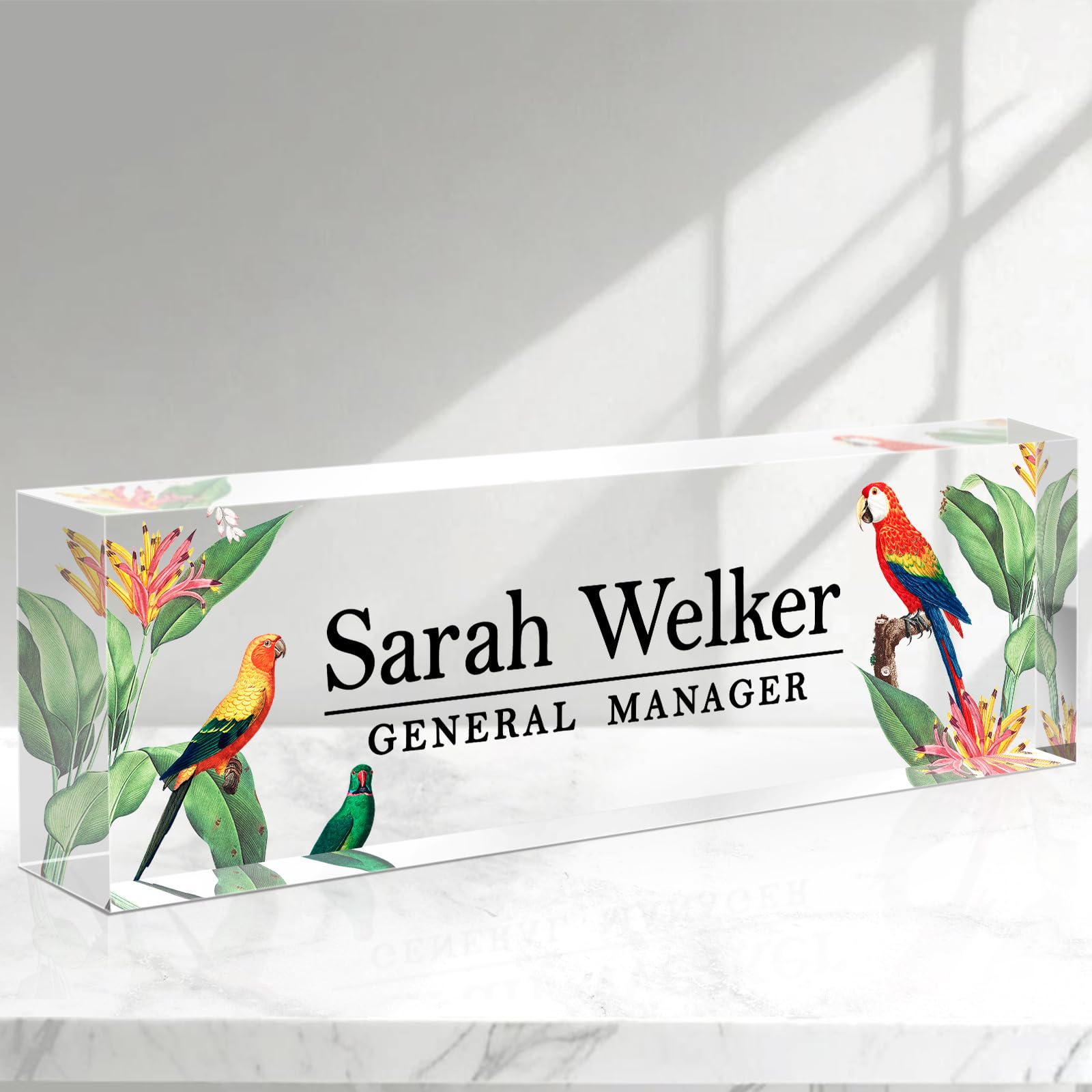 Name Plate for Desk Personalized, Custom Office Decor for Women, Acrylic Desk Name Plate, Office Desk Organization, Personalized Appreciation Gifts