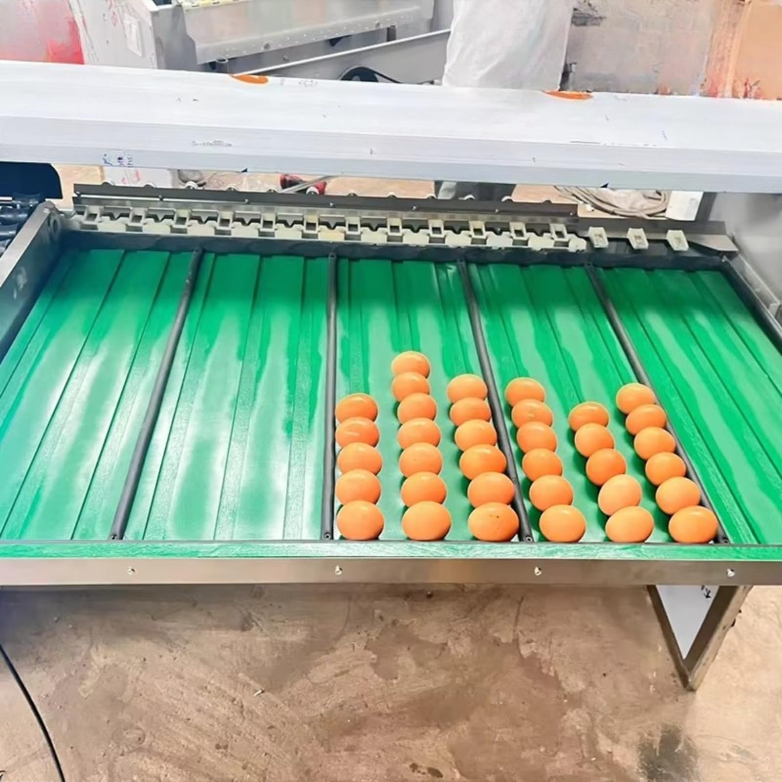 Macchina automatica per la classificazione delle uova con ispezione