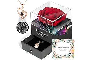 Unique Valentine's Day Gift: Real Preserved Rose Box with Necklace for Mom, Girlfriend or Wife