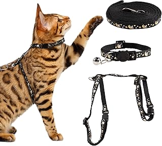 Ausbruchsicher Katzenweste Con Rivestimento Riflettente, Katze Ausbruchsicher Brustgurt Swarz, Katze Geschirr Verstellbare, Katzengeschirr mit Leine für Kätzchen Welpe, leichtes Kätzchengeschirr product image