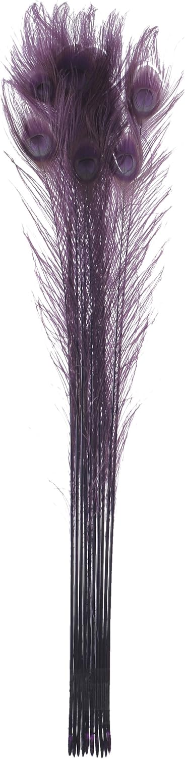 Zucker Feather (TM) - Peacock Eyes Bleached/Dyed - Purple