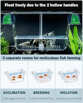 20 * 10 * 10CM Aquarium Fish Breeding Box Acrylic Hatchery Incubator Tank with Suction Cups Isolation Box for Baby Fish Shrimp Betta Guppy and Platy